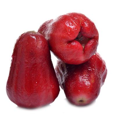 蓮霧怎么吃及其食用價值