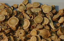 黃芪的功效及其快捷方便的使用方法