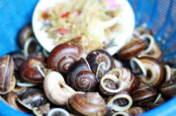 田螺的營養(yǎng)價值是什么 作用與功效有哪些