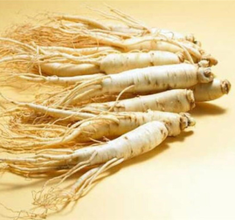 大補(bǔ)元?dú)?人參的功效和作用及吃法介紹
