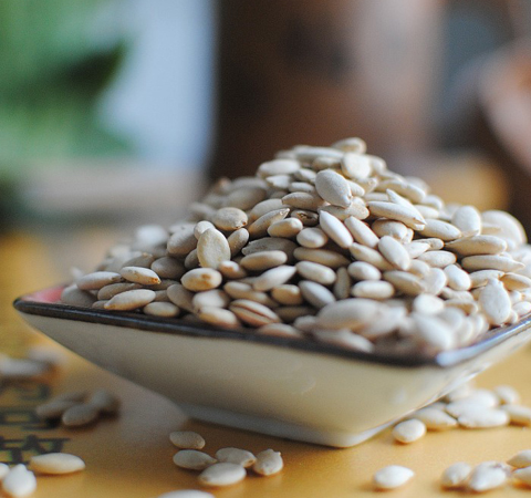 清肺化痰 冬瓜子的功效與作用和吃法介紹