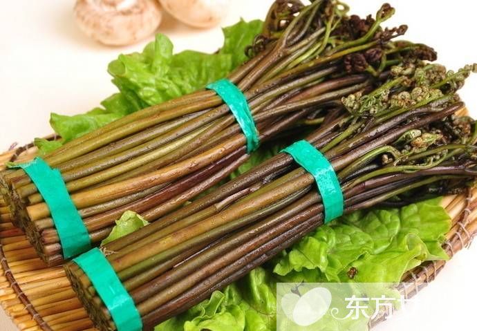 蕨菜的做法大全家常 吃蕨菜有什么好處