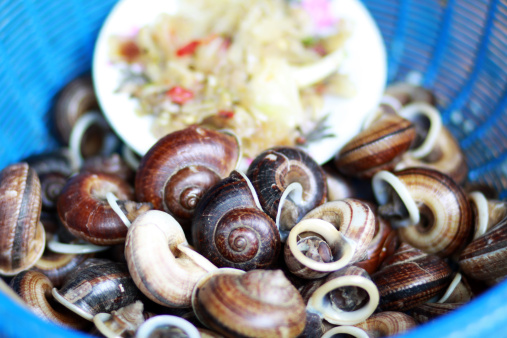 田螺的營(yíng)養(yǎng)價(jià)值是什么 作用與功效有哪些