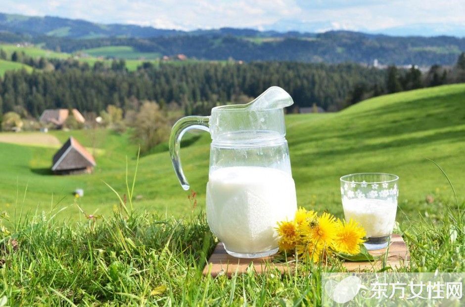 牛奶燉蛋有營養(yǎng)嗎 牛奶燉蛋怎么做好吃