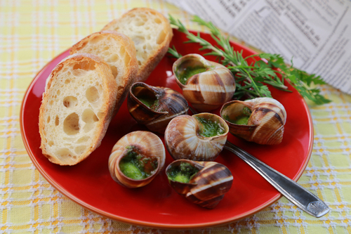 田螺的營(yíng)養(yǎng)價(jià)值是什么 作用與功效有哪些