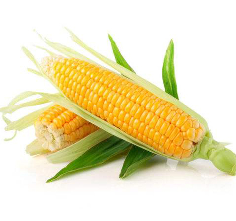 防治黃褐斑 維生素e的作用和食物介紹