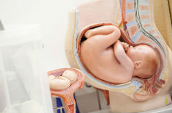 胎兒入盆是什么感覺 很多新媽媽不知道喲