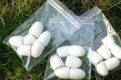 蠶蛹是絕佳的美食 蠶蛹洗臉