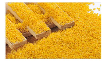 小米的營(yíng)養(yǎng)價(jià)值及功效，小米最養(yǎng)生