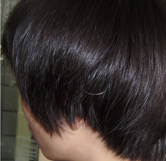 大家都在尋找怎樣白發(fā)變黑發(fā)的方法