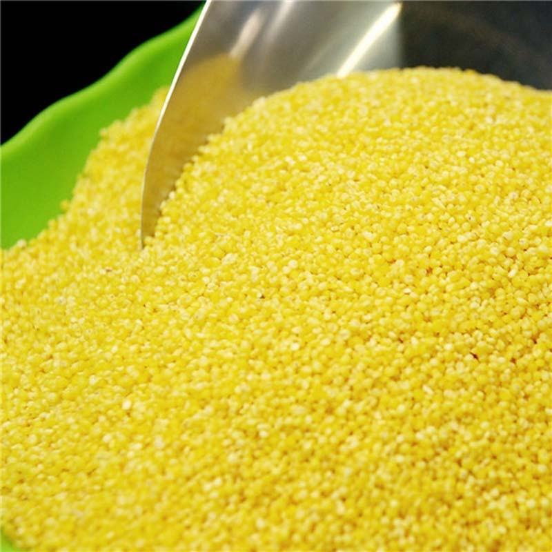 小米的營養(yǎng)價(jià)值及功效，小米最養(yǎng)生