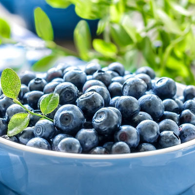 藍莓的功效與作用  增強記憶力