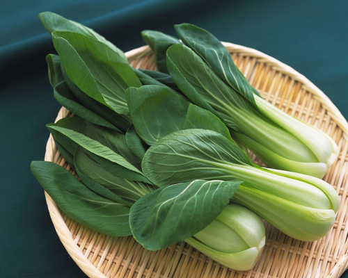 青少年骨質(zhì)疏松吃什么能更快康復(fù)