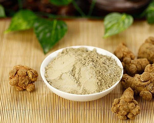 桐葉有哪些應(yīng)用價值