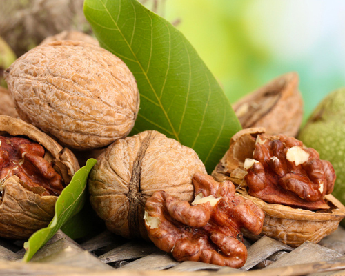胡桃肉的應(yīng)用價(jià)值