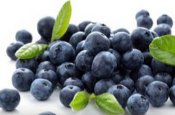 藍(lán)莓的功效與作用  增強(qiáng)記憶力