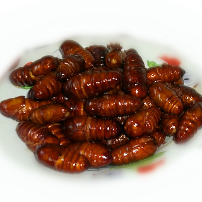  蠶蛹是絕佳的美食 蠶蛹洗臉