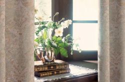 家中養(yǎng)什么花好 家里養(yǎng)花風(fēng)水要注意什么