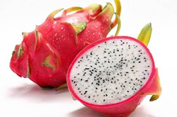 富含營養(yǎng)元素 看看吃火龍果什么好處