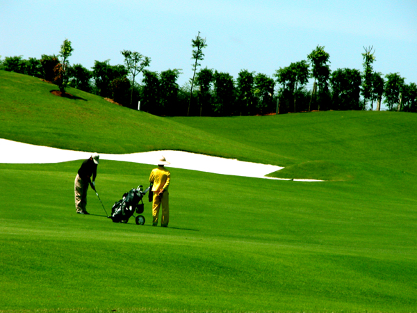  高爾夫入門教程技巧和方法