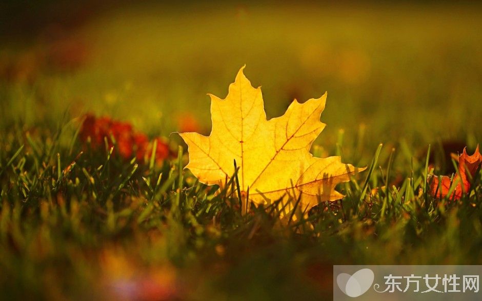 健康小貼士大全 30個生活常識伴你健康生活