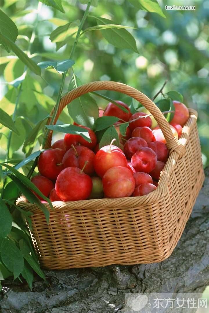 有關(guān)健康的小常識 快get起