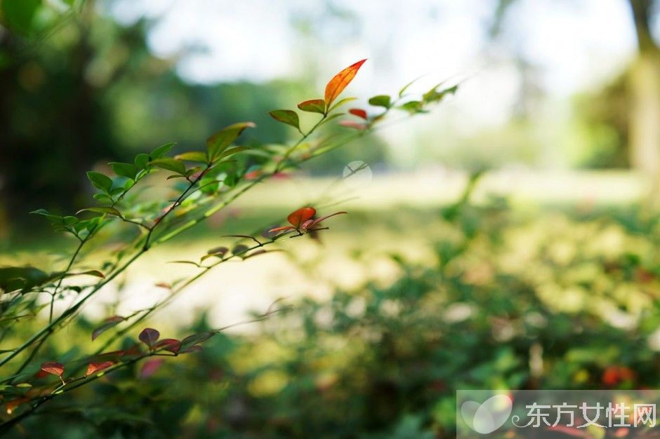 長壽養(yǎng)生方法有哪些 平時養(yǎng)生是關(guān)鍵