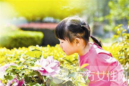 春天花粉過敏怎么辦 不妨試試這些小妙招