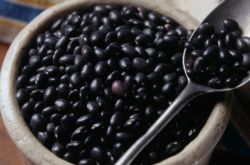 黑豆的功效與作用有哪些