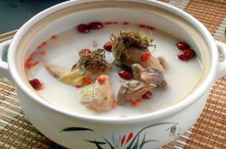 鴿子湯做法大全 冬季滋補(bǔ)推薦5種鴿子湯