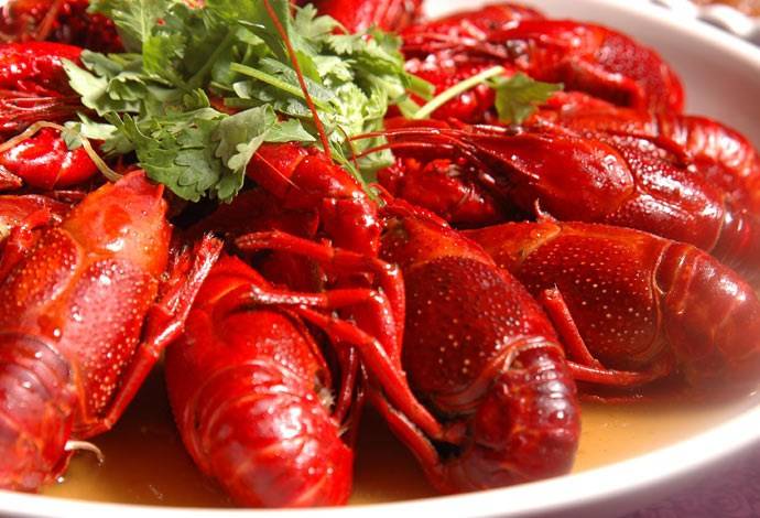 十三香龍蝦的做法大全 高蛋白低脂肪味道美