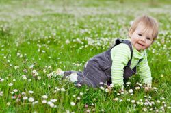 兒童菜譜家常菜做法 推薦寶寶愛吃的七道營養(yǎng)餐