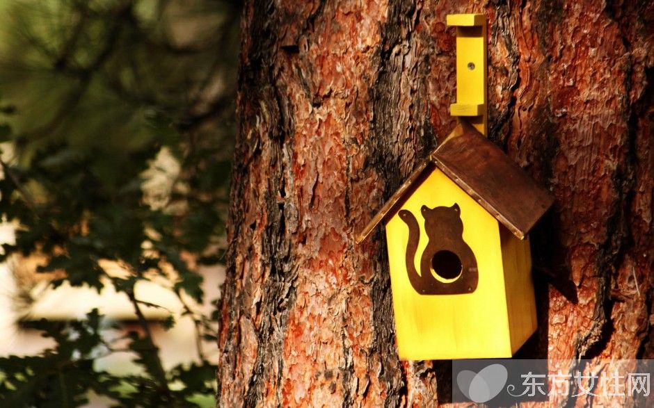 健康小貼士大全 30個生活常識伴你健康生活