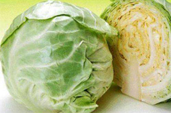 菜中之王 圓白菜的營養(yǎng)價值和食用方法介紹