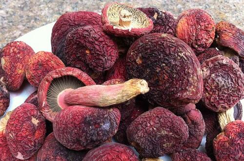 紅菇的營養(yǎng)價值　抗癌養(yǎng)顏提高免疫力