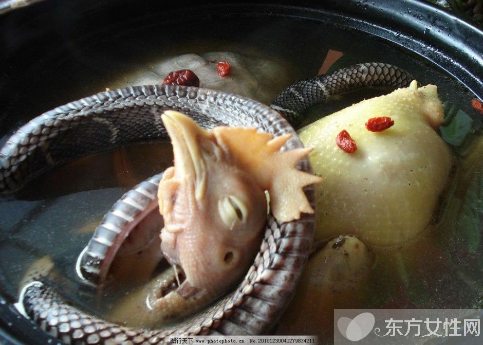 蛇湯的做法步驟是什么 蛇的這個東西一定不要吃