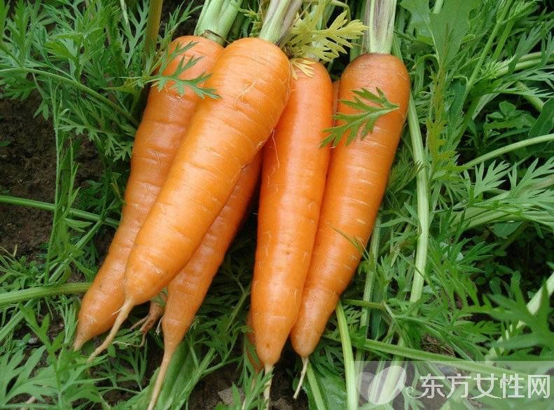 四大清腸排毒方法 讓腸胃的代謝更為順暢