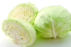 富含各種營養(yǎng)元素 卷心菜的營養(yǎng)價值介紹
