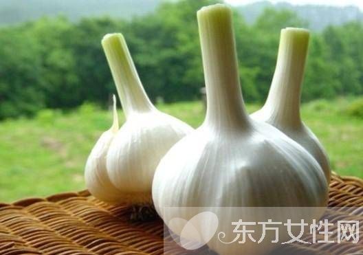 腌糖蒜的方法大全 教你如何正確腌制糖蒜