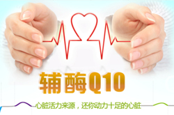 輔酶q10的作用 輔酶q10有什么樣的功效