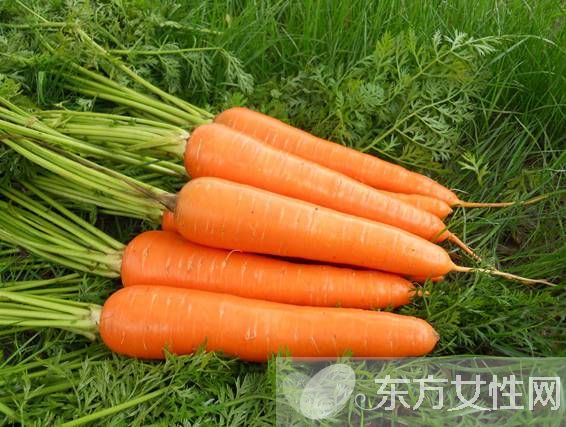 四大清腸排毒方法 讓腸胃的代謝更為順暢