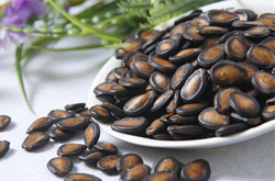 清肺潤(rùn)腸益處多 黑瓜子的營(yíng)養(yǎng)價(jià)值介紹