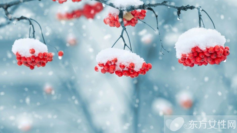 中國傳統(tǒng)節(jié)日有哪些 帶你重拾中國傳統(tǒng)文化