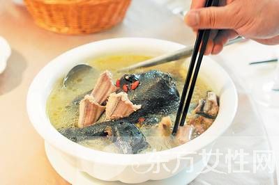 蛇湯的做法步驟是什么 蛇的這個東西一定不要吃