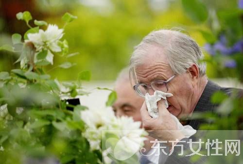 春天花粉過敏怎么辦 不妨試試這些小妙招