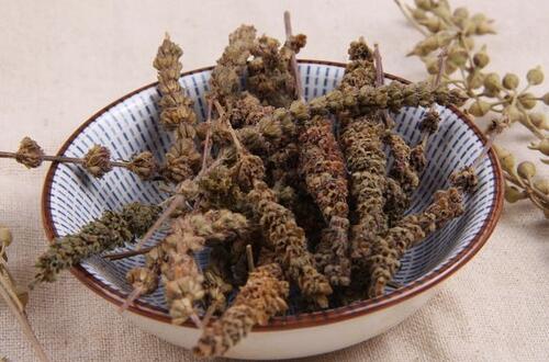 荊芥穗的功效與作用 解表散風(fēng)消瘡