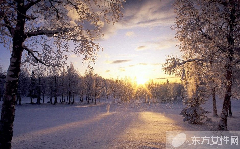 冬季飲食小常識 三類保健食物一定不得少