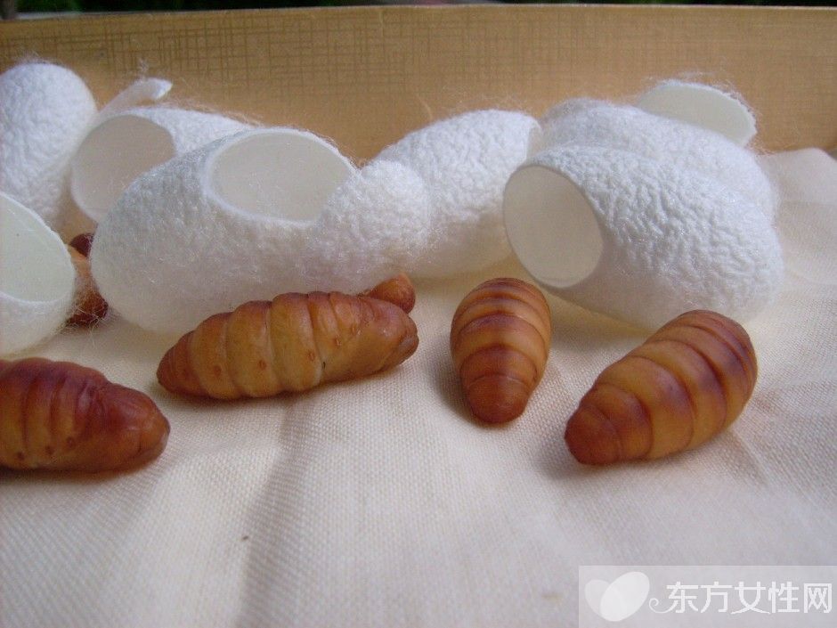 蠶蛹怎么吃 蠶蛹這么吃美味爆了