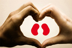 最適合女人保腎的10種食物