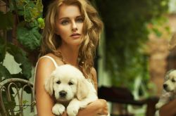 輕度脂肪肝的原因及治療 輕度脂肪肝的危害有哪些